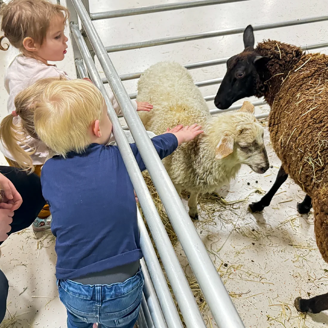 Flexibele kinderopvang